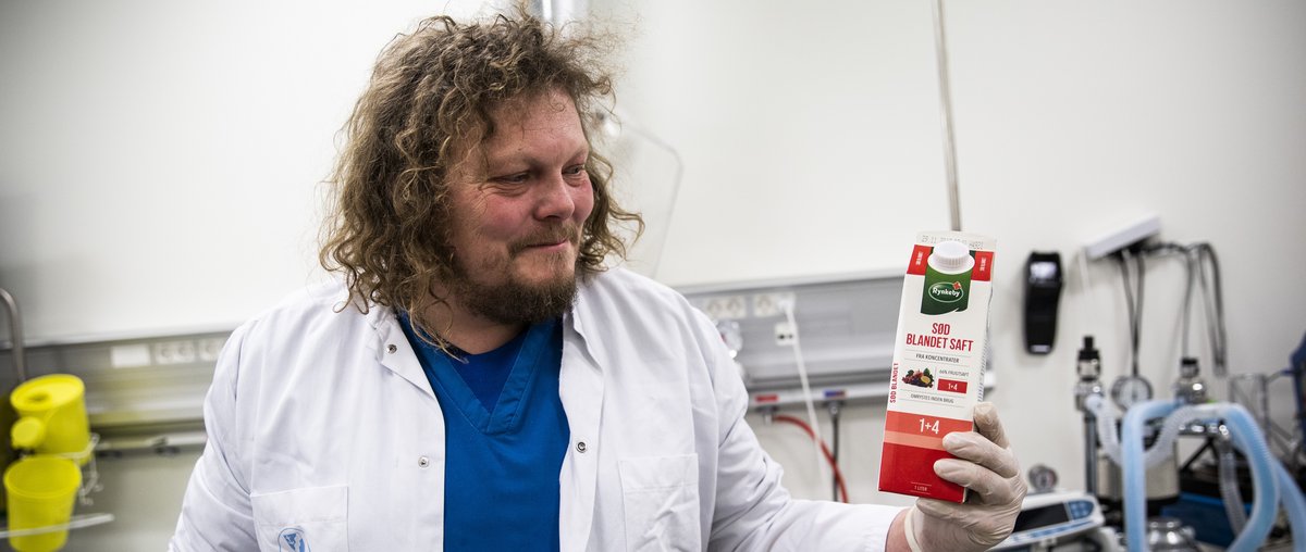 Gris nummer syv får 100 dage, saftevand og måske en plads i ...